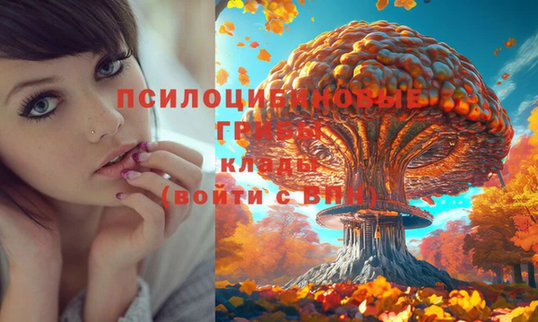 мет Аркадак