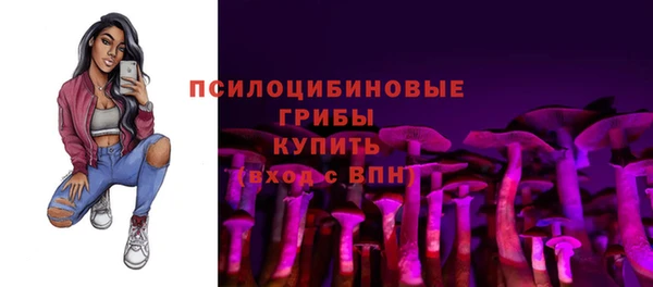 ECSTASY Армянск