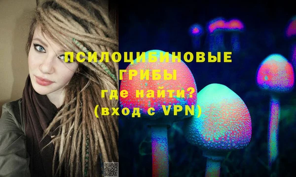 мет Аркадак