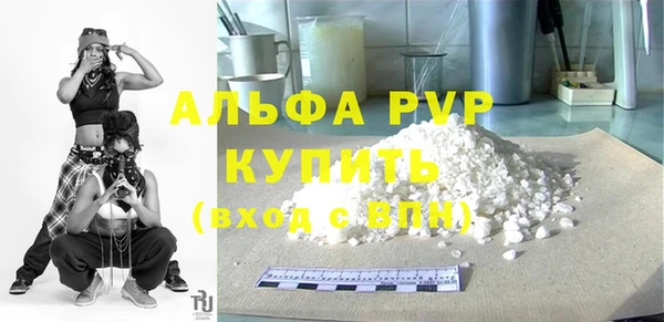ПСИЛОЦИБИНОВЫЕ ГРИБЫ Карпинск
