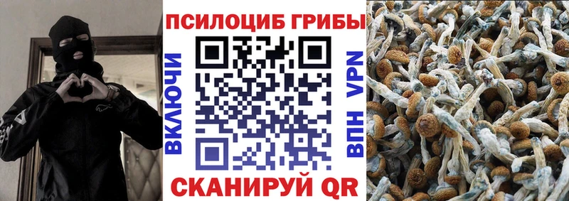 Псилоцибиновые грибы ЛСД  цены наркотик  Ленинск 