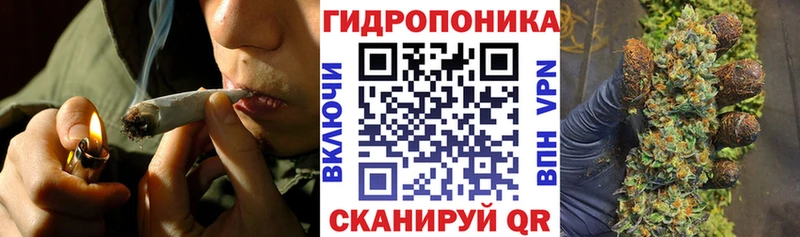 МЕГА tor Ленинск Шишки марихуана конопля
